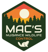 Macs Nuisance Wildlife Control