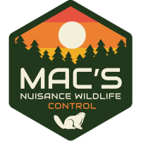 Macs Nuisance Wildlife Control icon